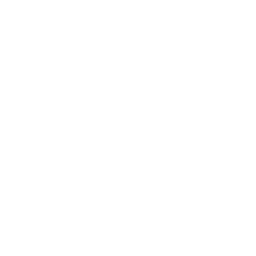 icon für Facebook